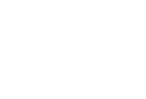 자유민주당 흰색 로고 상하대칭.svg